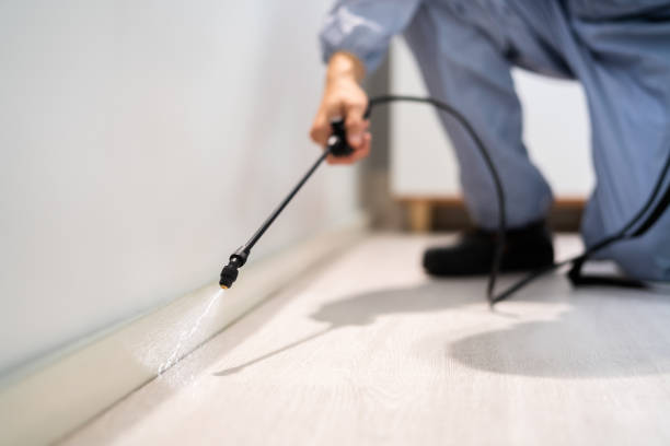 Licensed Fumigation Services service in Aleutians West Census Area County, AK - Nex Pest Control